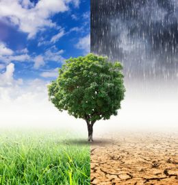 ingeniería contra el cambio climático